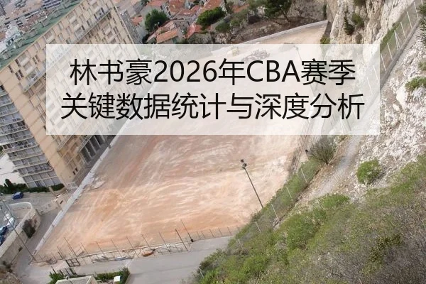 林书豪2026年CBA赛季关键数据统计与深度分析