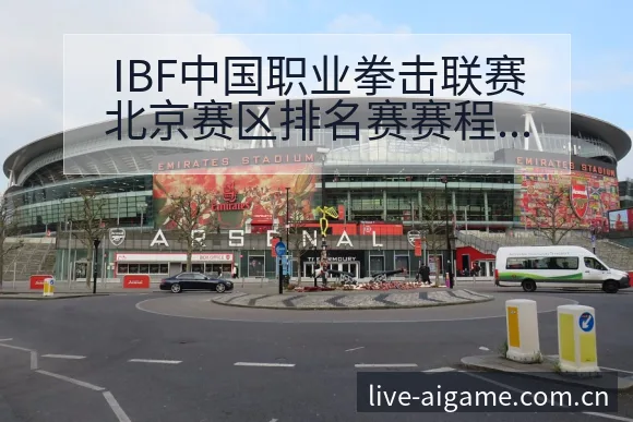IBF中国职业拳击联赛北京赛区排名赛赛程与选手表现数据 - 爱游戏
