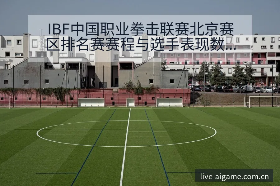 IBF中国职业拳击联赛北京赛区排名赛赛程与选手表现数据 - 爱游戏